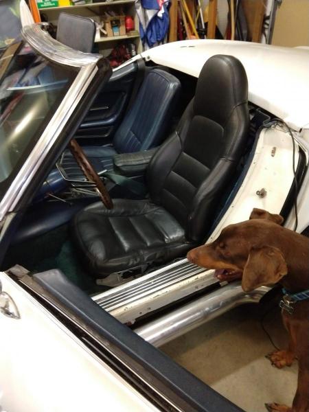 C6 Corvette seat in a C3 Corvette, photo from the front with my dog also in the picture.
